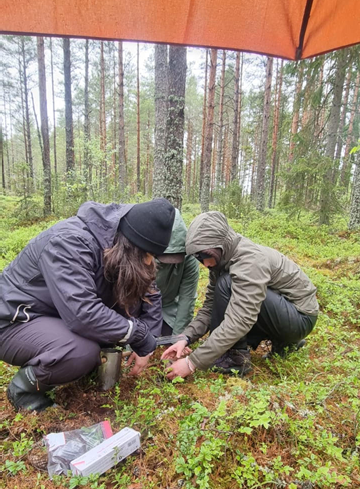 Me on my year abroad in Sweden (2025) – collecting moss samples from a burnt forest on a week-long field trip.